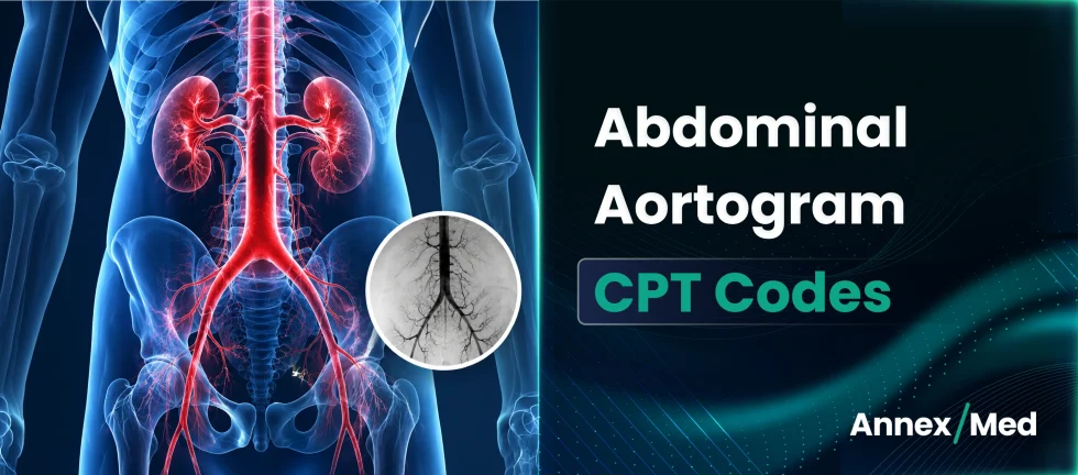 Abdominal Aortography