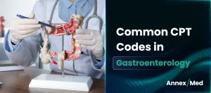 Gastroenterology CPT Codes: A Complete GI Billing Guide for 2026