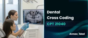 Dental Cross Code for 21040 Explained